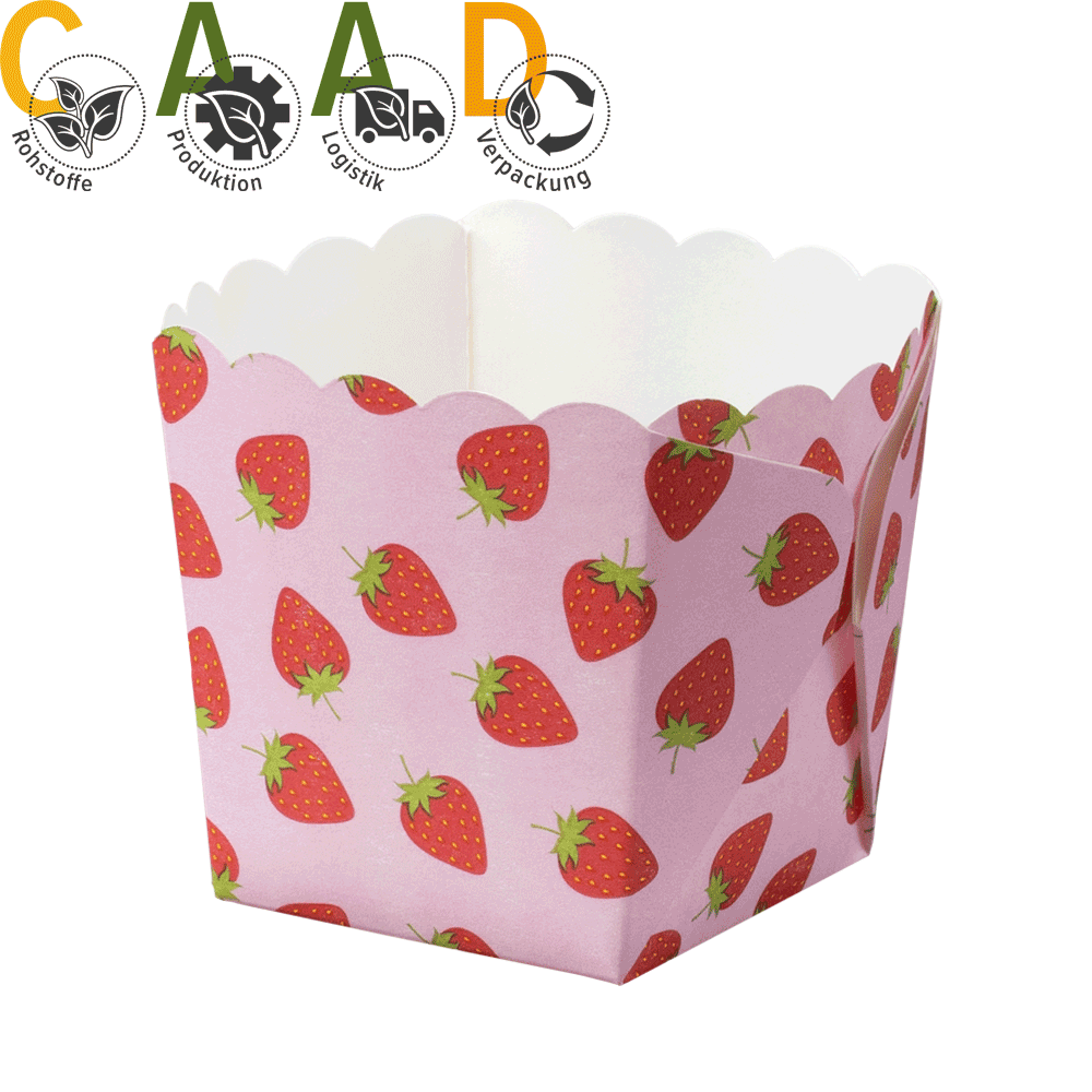 Mini Back-, Snack & Eisbox Erdbeere Rosa