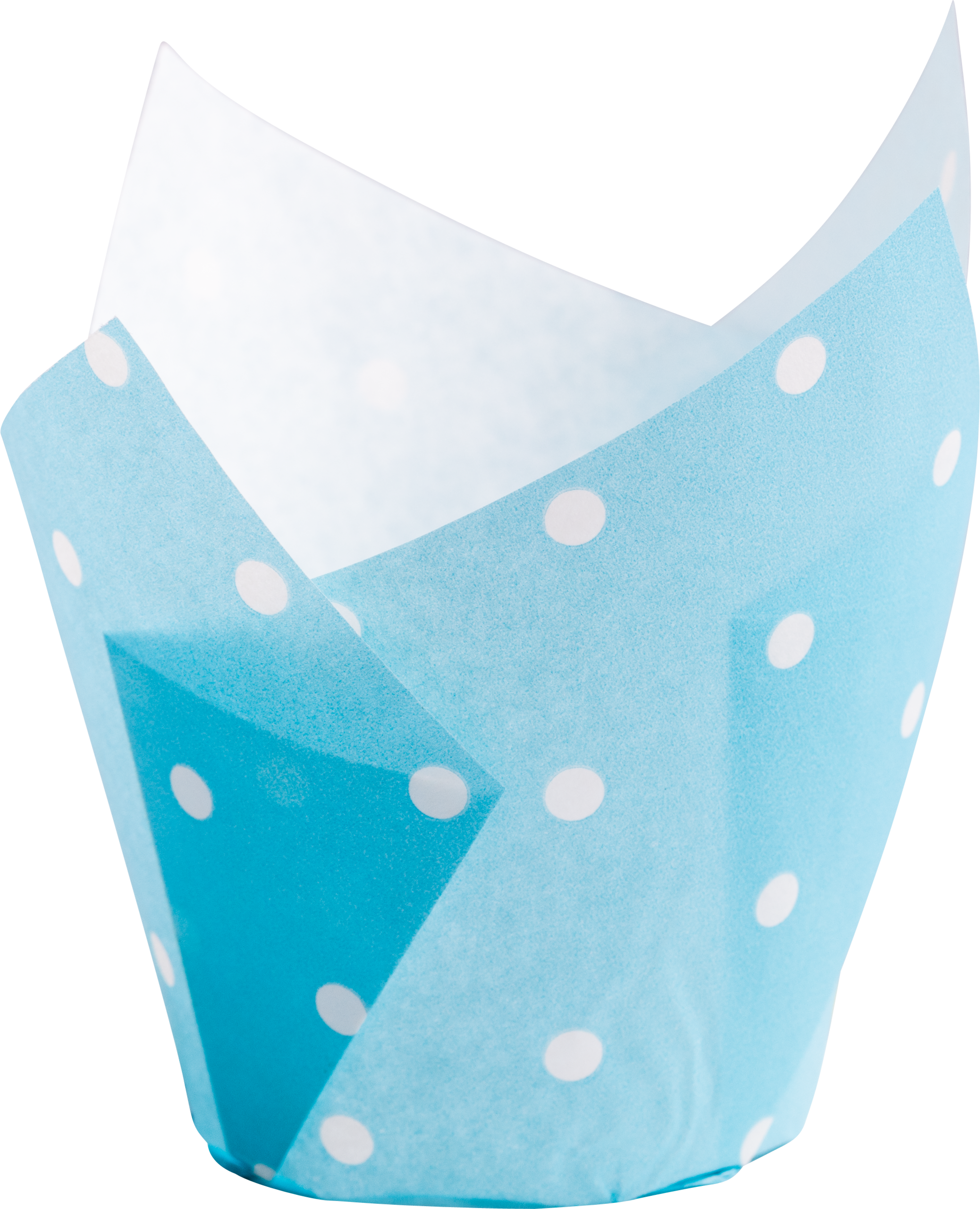 Muffin Tulip-Wrap white dots on turquoise • 16 x 16 cm