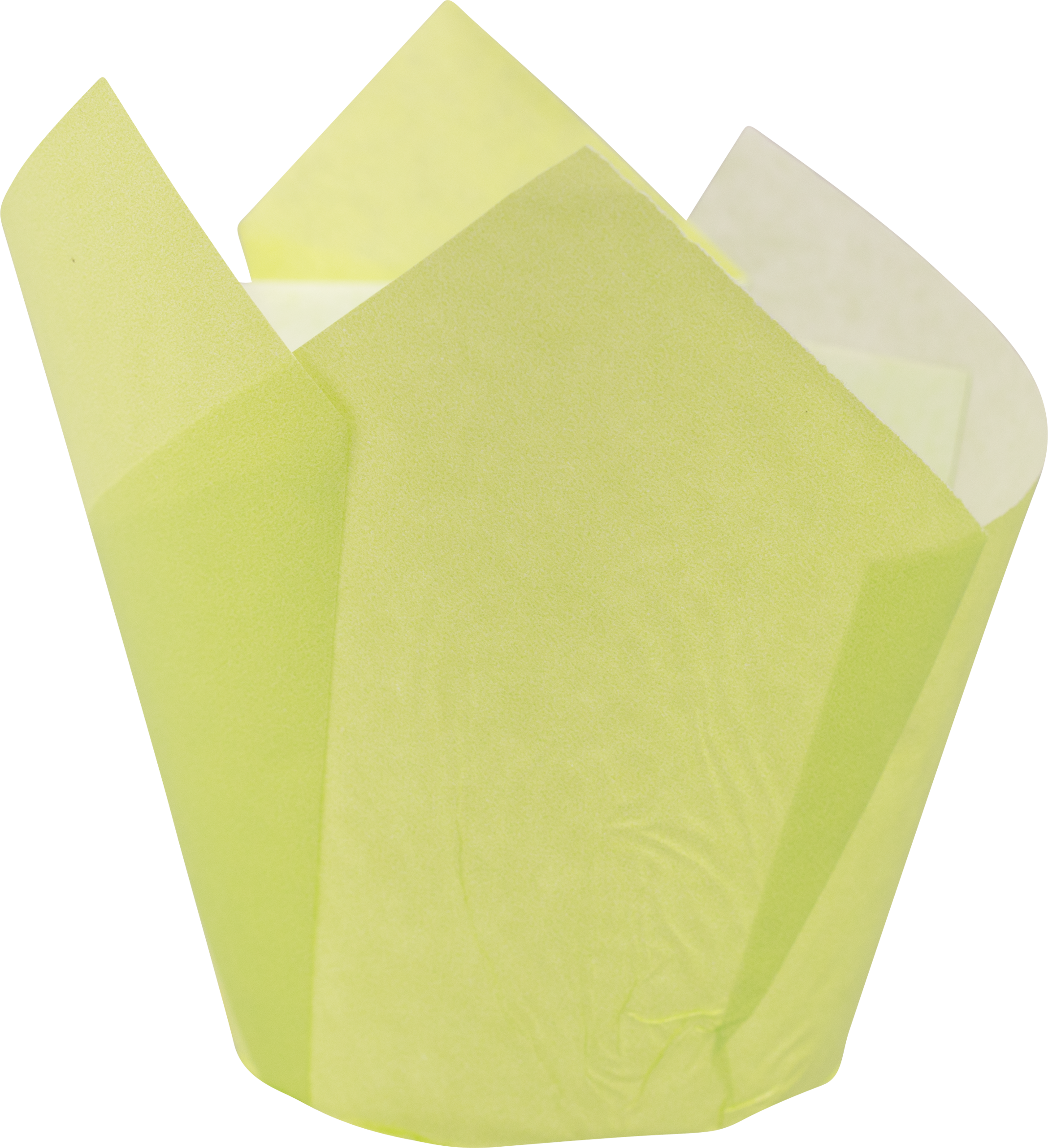 Muffin Tulip- Wrap Lemon, 16 x 16 cm
