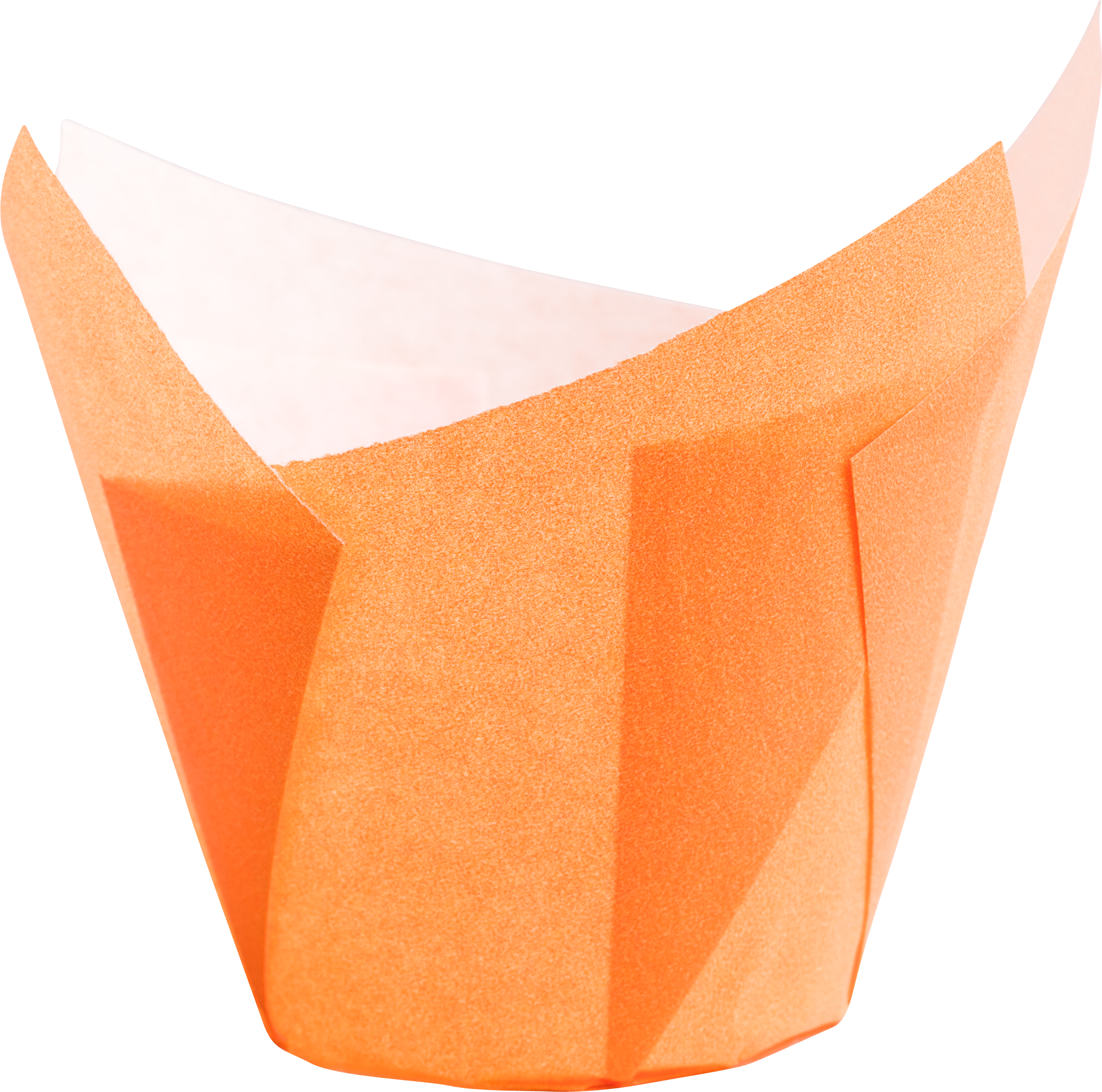 Muffin Tulip- Wrap Orange, 16 x 16 cm